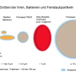 Bacteria and Viruses