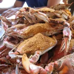 cooked lobster meat