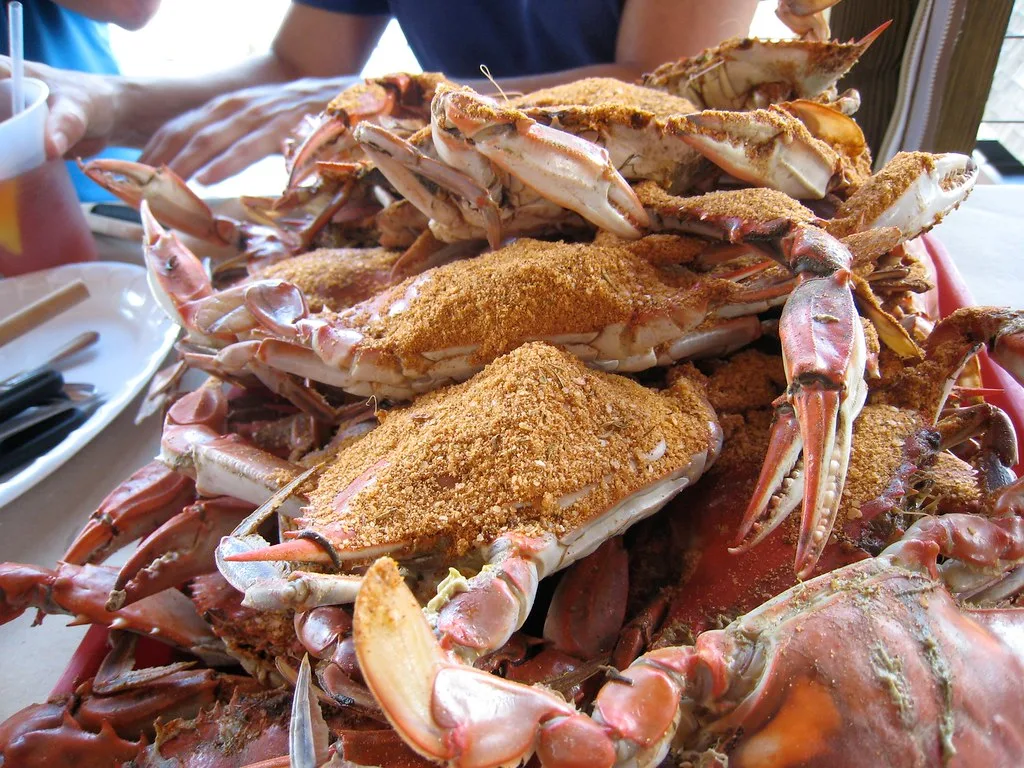 cooked lobster meat