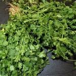 Coriander Herb