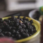 how to freeze fresh blackberries