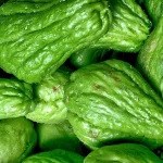 how to grow cucumbers