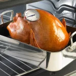 meat thermometer usage