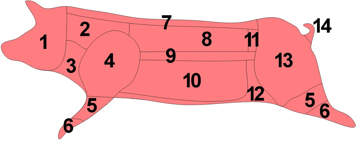 pork shoulder