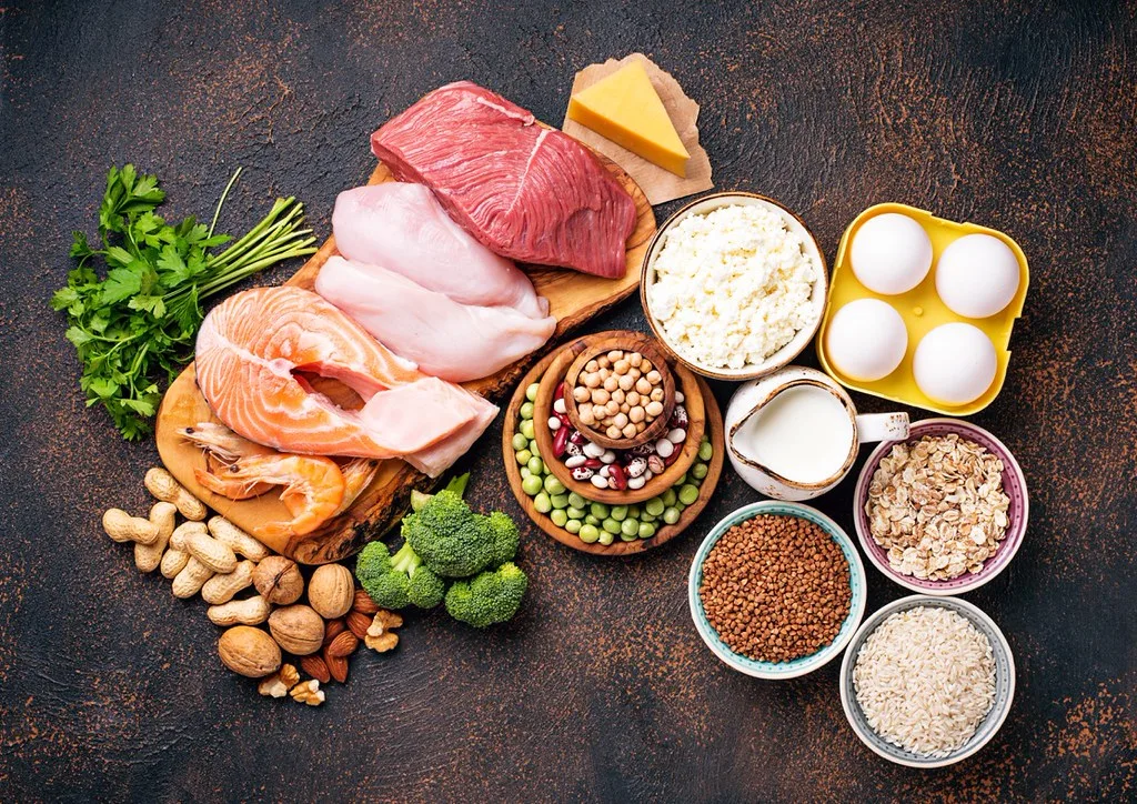 Protein Sources