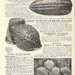sweet potato doneness signs