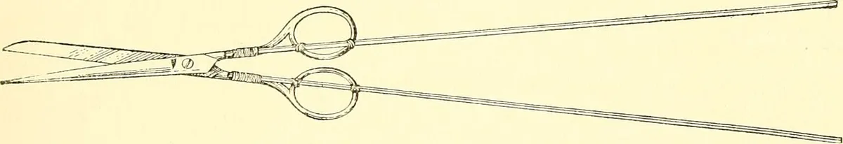 tools for canning