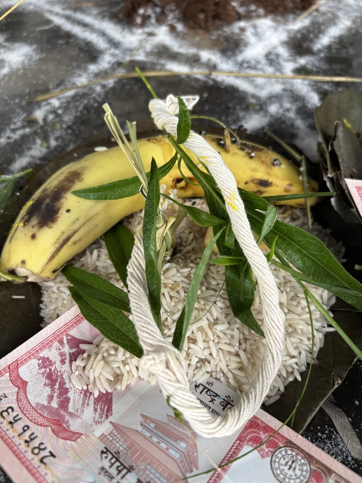 uncooked vs cooked rice volume